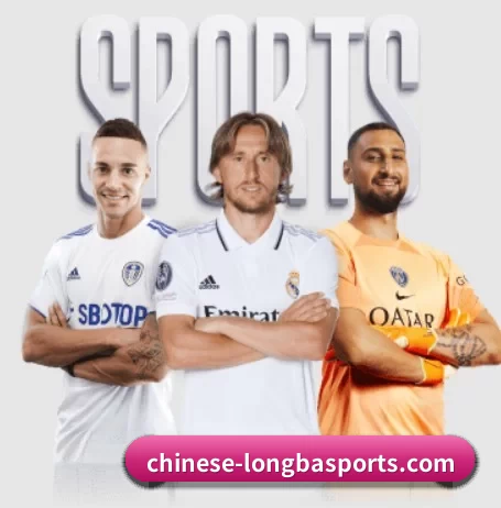 龙八体育 APP 界面